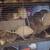 LET RATS 3 thumbnail