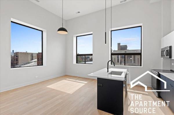 $3,162 / 2br - 1000ft2 - NEW IN WICKER PARK! Welcome to the Real! (Chicago)63960011120131120