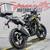 2021 BMW G 310 GS - 40 Years of GS Edition Adventure 6 thumbnail