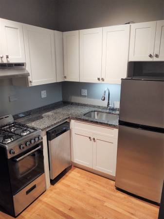 $1,930 / 1br - Beautiful Kitchen! Spacious Floorplan! In Unit Laundry! (Lakeview)63781327722625120