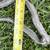 Military cargo net sling net heavy duty 4 thumbnail