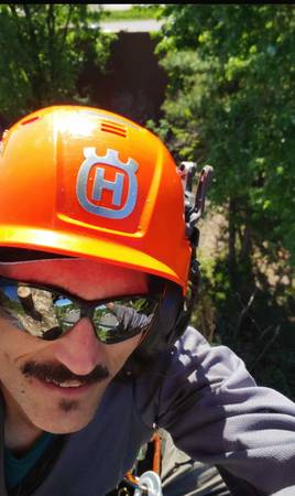 My Friend's Tree Removal and Trimming Service 1