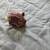 Brittany's piggy bank 3 thumbnail