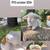 baby bunnies holland lop 1 thumbnail