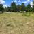 Brush Mowing / Forestry Mulching | Syrics Enterprises LLC 8 thumbnail
