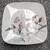 Corelle Square 10.5" Dinner Plates (Set of 12) 2 thumbnail