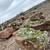 Limestone, Sandstone, Blocks, Boulders, Retaining Wall Blocks 15 thumbnail