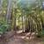 7175 Redwood Retreat Road. 35 Acres Gilroy, dwellings, water system, 11 thumbnail