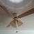 Ceiling fan 2 thumbnail