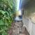 Lanikai Cottage W/D, Parking, Utilitis and Internet Included 3 thumbnail