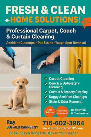 carPET & AREA RUG CLEANING COUCH CLEANING  power washing 1