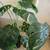 Artificial Greenery Leaf Potted Plant 4 thumbnail