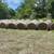 Hay 4'x5' 2 thumbnail