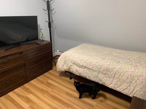 $1,100 Spacious Room Available - Everything Included! - Peabody, MA (Peabody-MA)63996690734338121