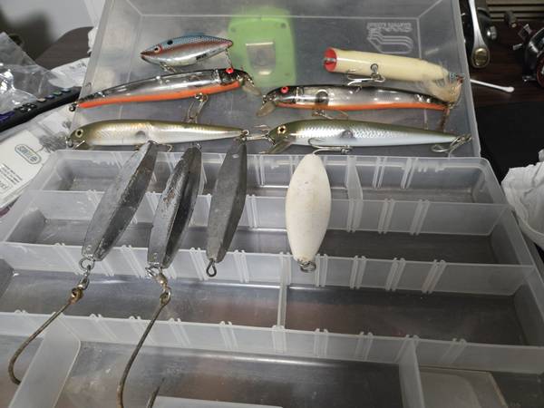 10 saltwater fishing lures 1