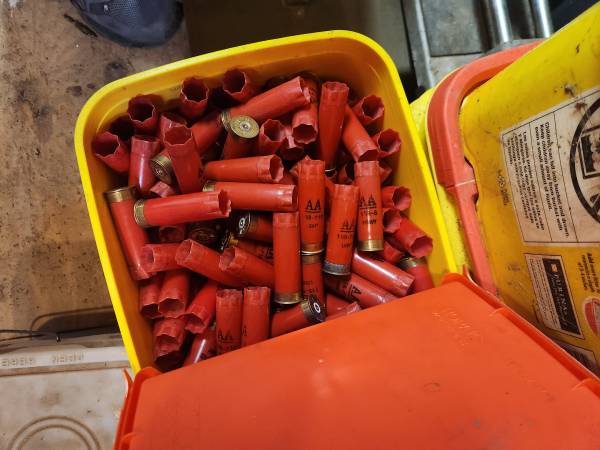 Shotgun Hulls for Reloading 1
