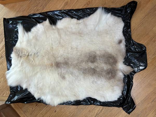 2 Natural Reindeer Hide - Pelts from Iceland 1