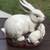 Rabbit Statues, etc. 2 thumbnail