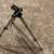 Camera Tripod 1 thumbnail