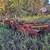 3 moldboard  plows 5 thumbnail