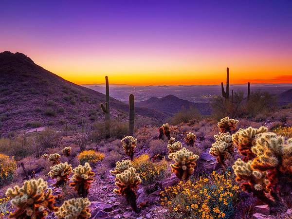 Grayhawk Home Rental 1