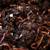 Indoor Worms Vermicompost Red Wigglers Worm Compost U-Pick 2 thumbnail