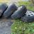 wheels 205/55R16 1 thumbnail