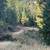 5 ac forest with cabin shell Kingston 10 thumbnail