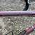Vintage SCHWINN World Sport Road bike Clean Works Great!!! 5 thumbnail