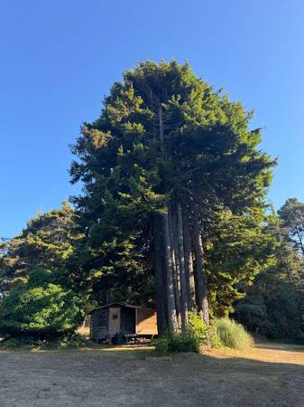 $2,490 / 2br - 2200ft2 - Huge two bedroom house + hot tub on five acres of redwoods - Sublet (Fort Bragg)64000750069378123