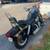 2013 Harley Davidson Dyna Fat Bob (new) 9 thumbnail