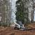 Brush Clearing, Underbrush thinning, Forestry Mulching 🌱🌿 16 thumbnail