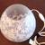 Round Frosted Floral Glass Accent 8.5" Lamp Light Table Night Stand 2 thumbnail