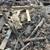 Free Scrap Wood Boards & Logs For Wood Furnace / Bon-Fires / Fire Pit 3 thumbnail