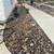 New Sod🍁   / Artificial turf 🏕/Rock/gravel  210 369 1427 10 thumbnail