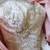 Allure Bridals Wedding dress and Veil embedded with Swarovski Crystals 4 thumbnail
