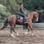 Nice 4-H/OHSET/Trails Gelding 6 thumbnail