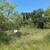 Lake Brownwood Lakeshore Lot 7 thumbnail