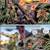 HOMESCHOOL FAVORITES 3 thumbnail