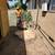 `☆`Stump Grinding`☆` Palms Trimming `☆` Tree Removed `☆` Tree Trimming 17 thumbnail