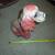 1962 STATE FAIR COCKER SPANIEL CARNIVAL CHALK FIGURE! Large 10" Tall!! 2 thumbnail