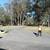 ELITE ZERO Acreage mowing & large Residential 3 thumbnail