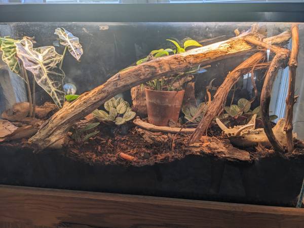 Bioactive Enclosure 1