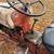 1947 Ford Model 8N Tractor 5 thumbnail