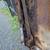 1967 Ford Galaxie front driver side fender 4 thumbnail