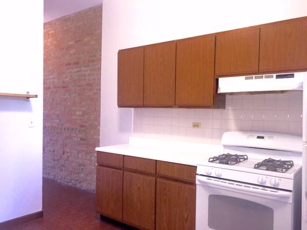 $2,350 / 1br - Size Does Matter! Approx 1000 Sq Ft One bedroom!! Exposed Brick! (Lakeview)63898600852738121