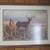 Assorted Framed Wildlife prints signed & numbered 2 thumbnail