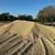 DIRT WORK AND MATERIALS SELECT FILL ROAD BASE CRUSHED CONCRETE ASPHALT 5 thumbnail