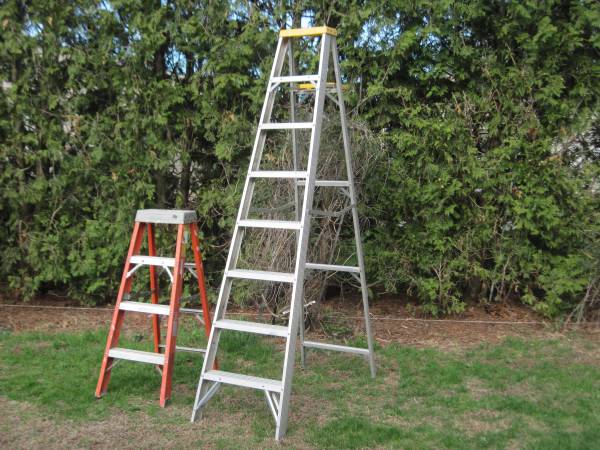 Ladders 4 / 8 / 36... .Read description. 1