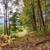 16+ Acres in Paxinos ~ Mountain Road, Paxinos, PA 17860 6 thumbnail
